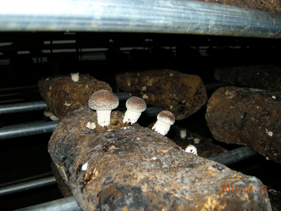 f4b3c27e8777f5f5c8f96e4500e0da53_1467350